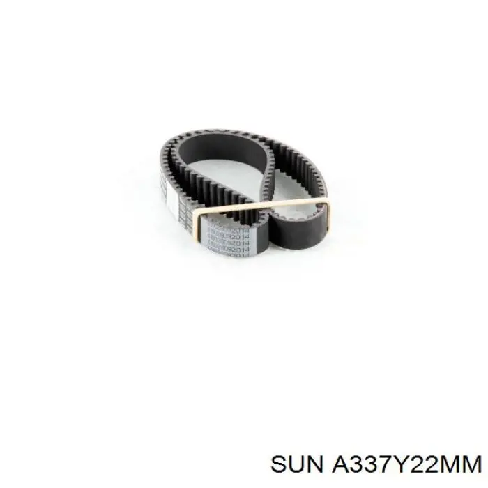 Correa de distribución SUN A337Y22MM precio, desde 13,98 EUR