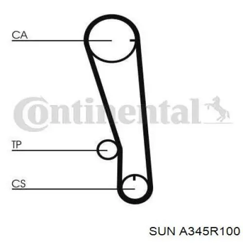 A345R100 SUN correa distribución