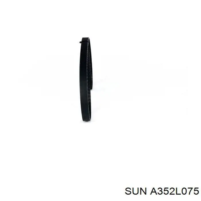 A352L075 SUN Correa dentada