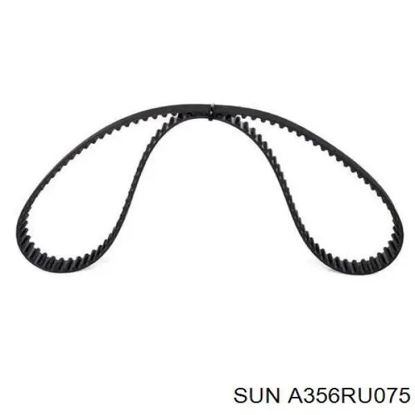 Correa distribución A356RU075 SUN
