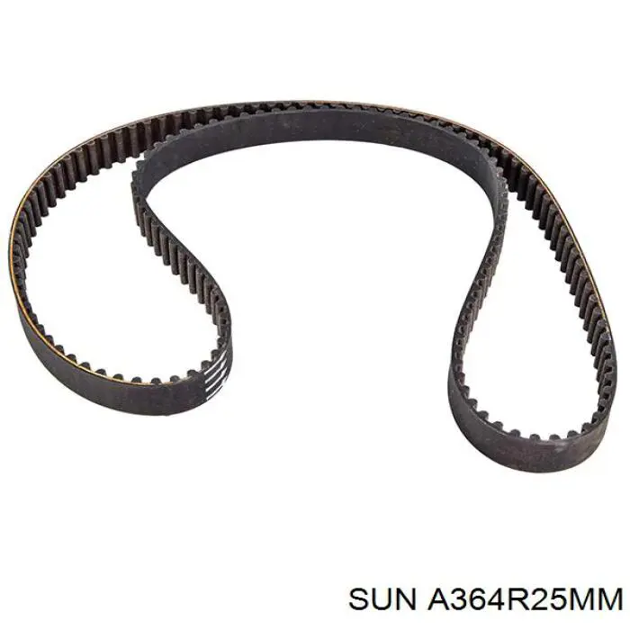 Correa distribución A364R25MM SUN