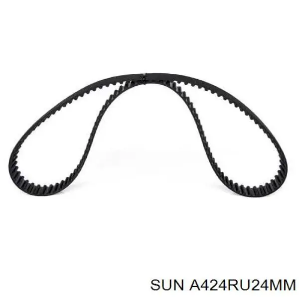 Correa distribución A424RU24MM SUN