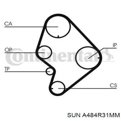 A484R31MM SUN Correa dentada