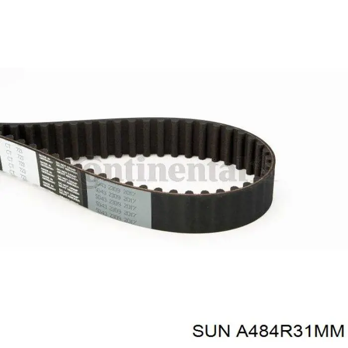 Comprar A484R31MM SUN Correa distribución