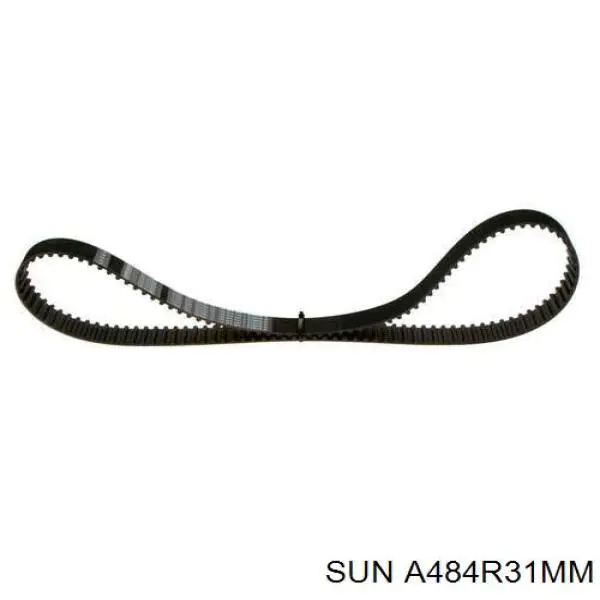 Correa de distribución SUN A484R31MM precio, desde 43,12 EUR