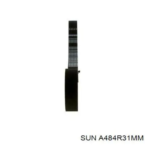 Correa distribución A484R31MM SUN