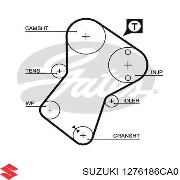 1276186CA0 Suzuki correa distribución