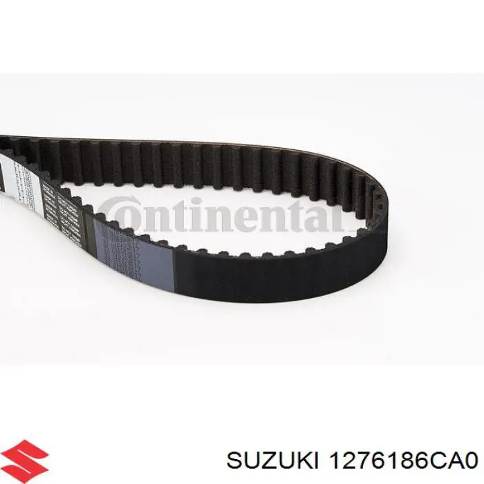 1276186CA0 Suzuki Correa dentada