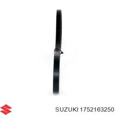 1752163250 Suzuki correa trapezoidal