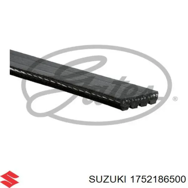 Correa de alternador 1752186500 Suzuki