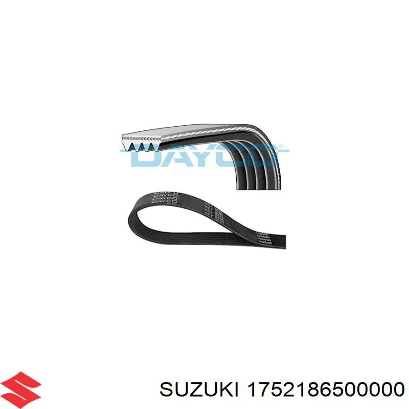 Comprar 1752186500000 Suzuki Correa trapezoidal