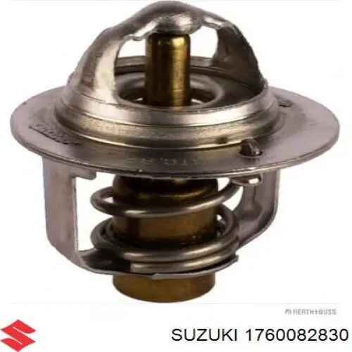 1760082830 Suzuki termostato