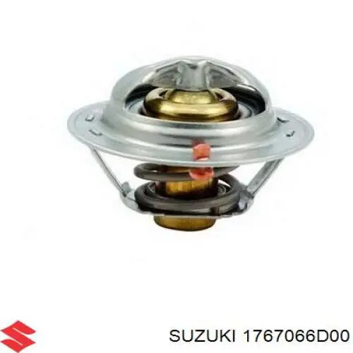 1767066D00 Suzuki termostato