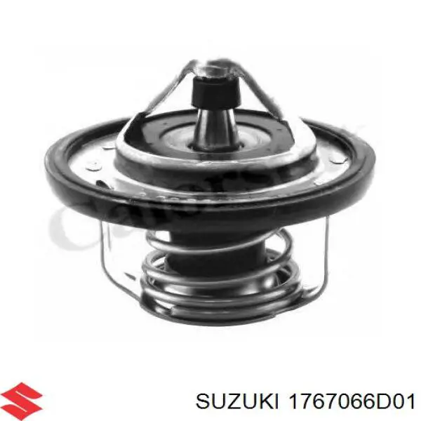 1767066D01 Suzuki termostato