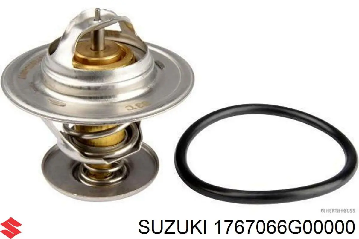 Termostato Suzuki 1767066G00000 precio, desde 16,64 EUR