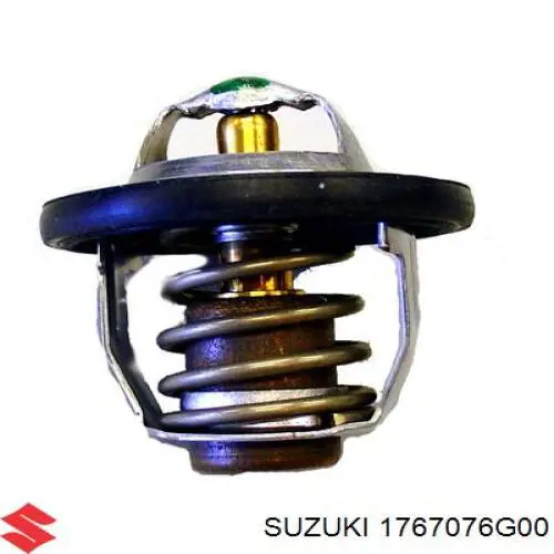 1767076G00 Suzuki termostato
