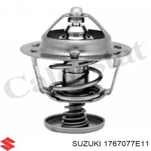 1767077E11 Suzuki termostato