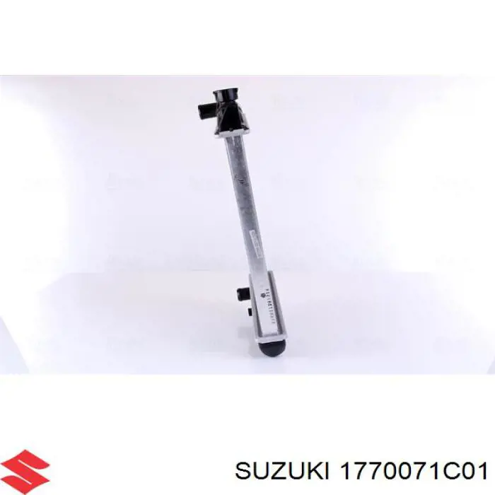 1770071C01 Suzuki