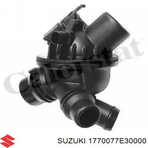 1770077E10 Suzuki Refrigeración del motor