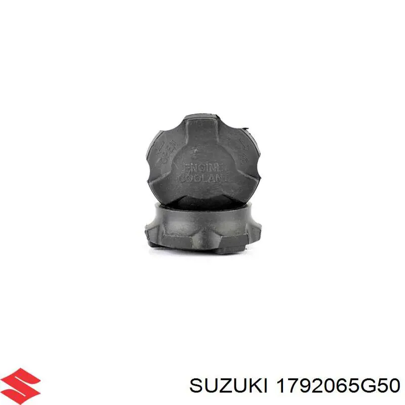 Tapa de radiador Nissan Navara D40M