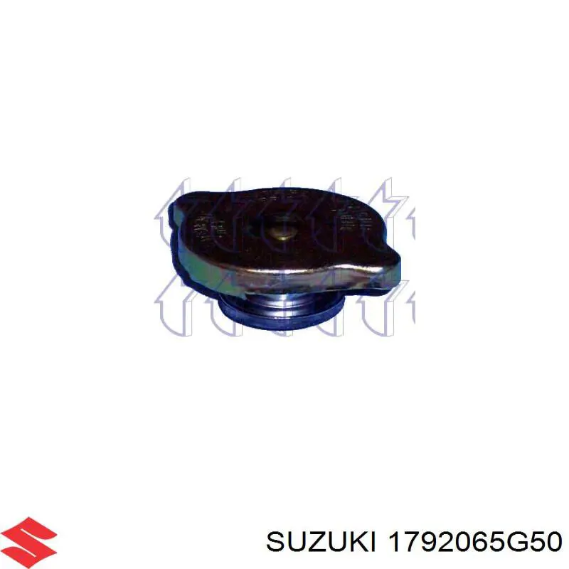 Tapa de radiador Nissan Navara D40M