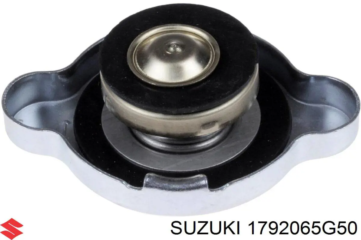 Tapa de radiador Nissan Navara D40M