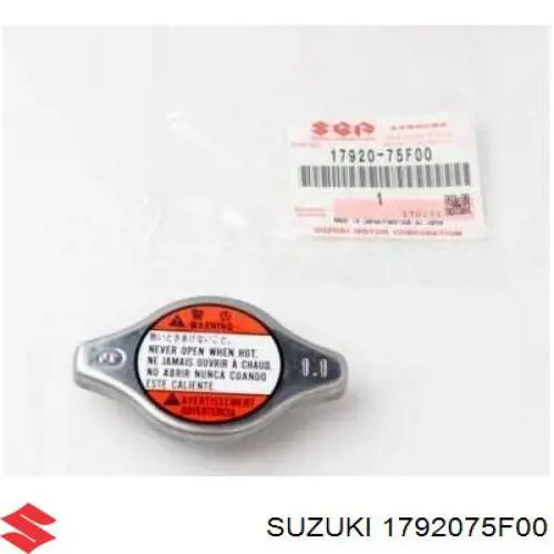 Suzuki 17920 75f00