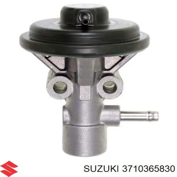 3710365830 Suzuki 