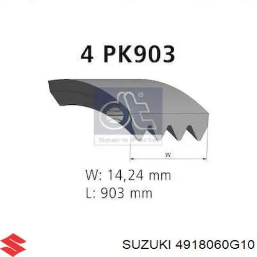 4918060G10 Suzuki Correa poly v