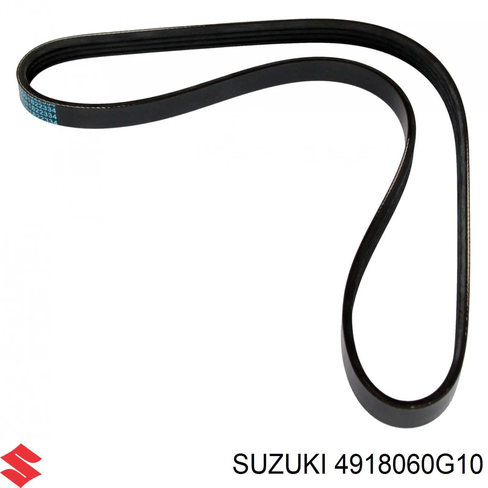 Correa accesorios Suzuki 4918060G10
