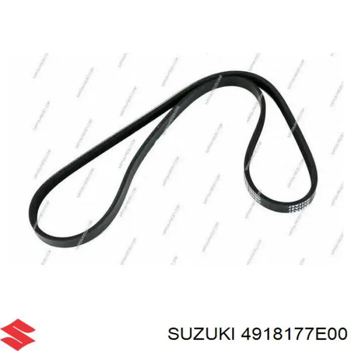 49181-77E00 Suzuki correa trapezoidal