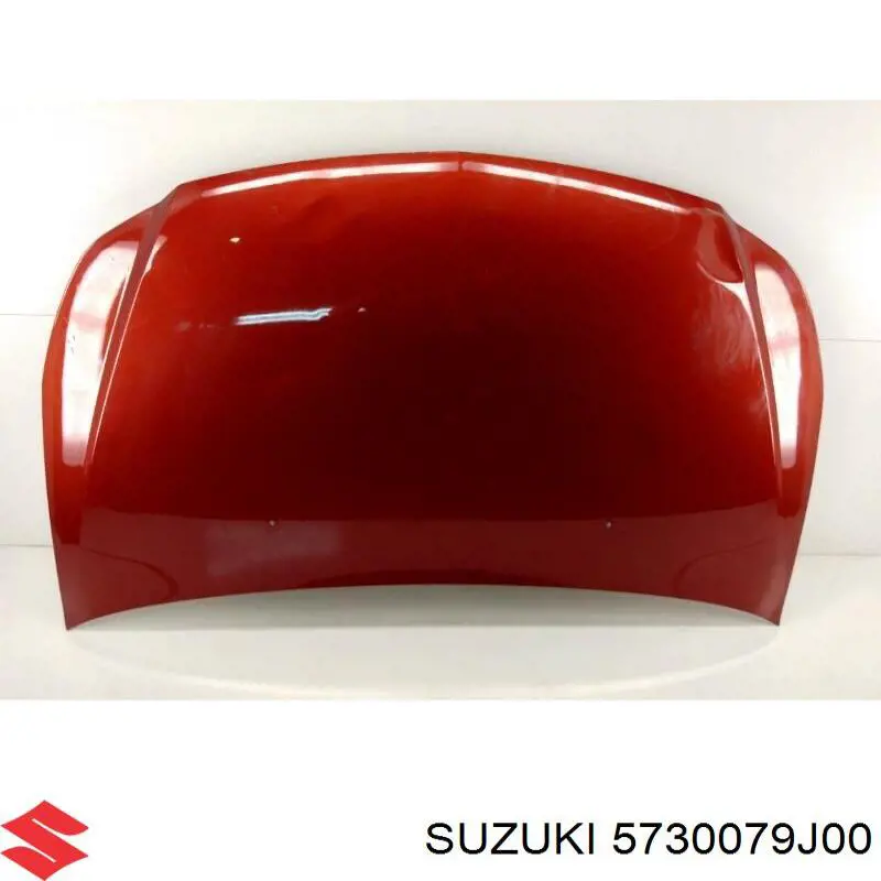 Capó del motor Suzuki 5730079J00 precio, desde 209,22 EUR