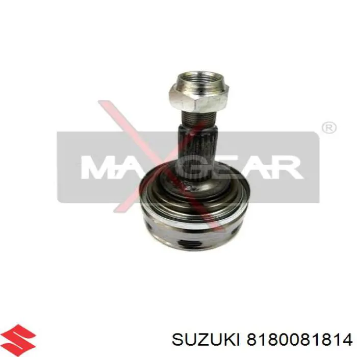 8180081814 Suzuki amortiguador de maletero