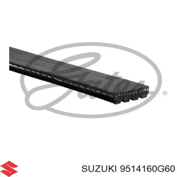 Correa de alternador 9514160G60 Suzuki