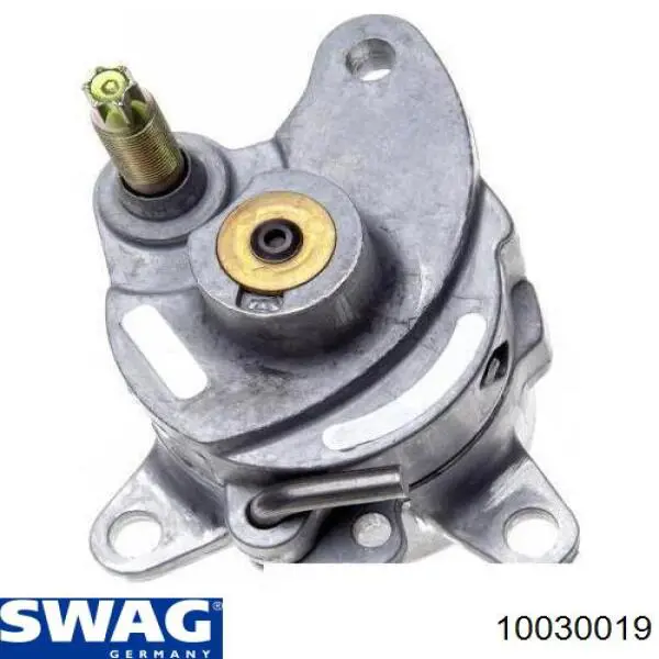 10030019 Swag Tensor de correa de alternador