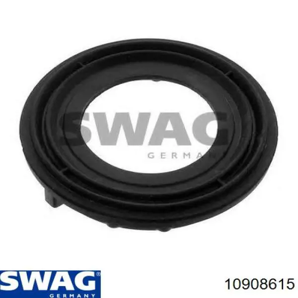 10908615 Swag