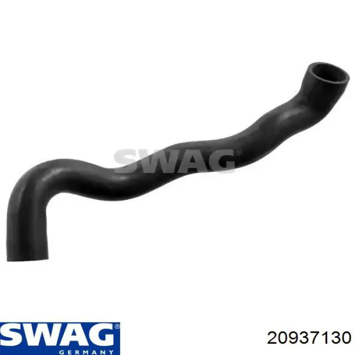 11531726344 BMW Manguera inferior del radiador