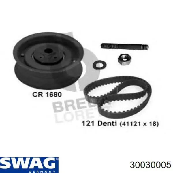 Tensor de la correa de distribución Swag 30030005 precio, desde 17,50 EUR
