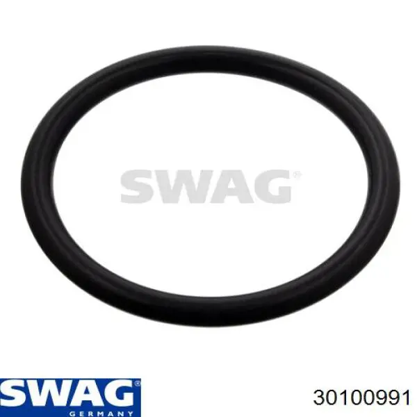 30100991 Swag anillo de estanqueidad de un tubo de derivación de un radiador