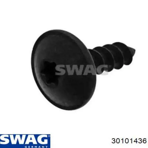  Protección motor / empotramiento Audi A6 