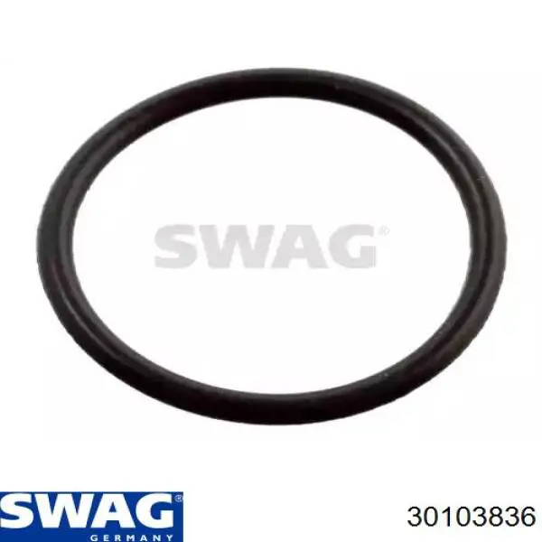 30103836 Swag junta anular, inyector