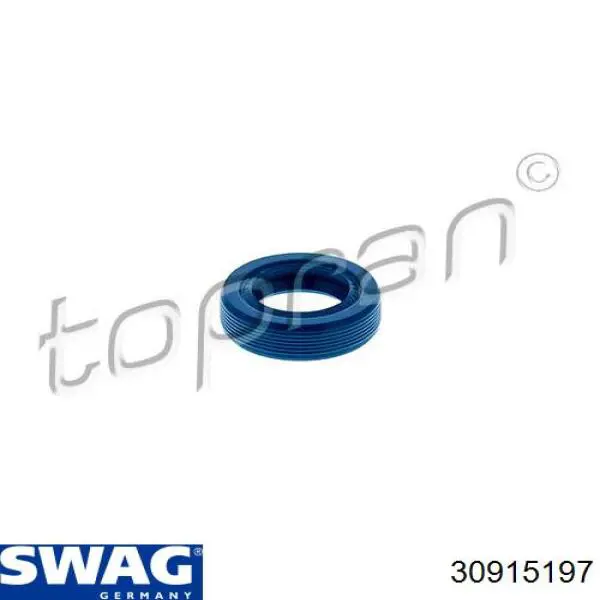 30915197 Swag
