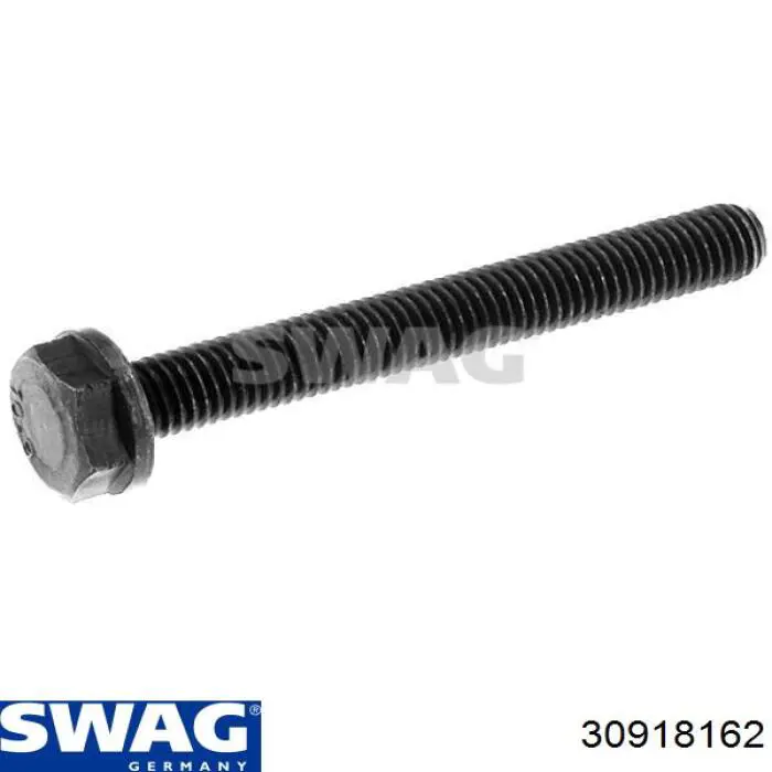 30918162 Swag Perno de la polea del cigüeñal