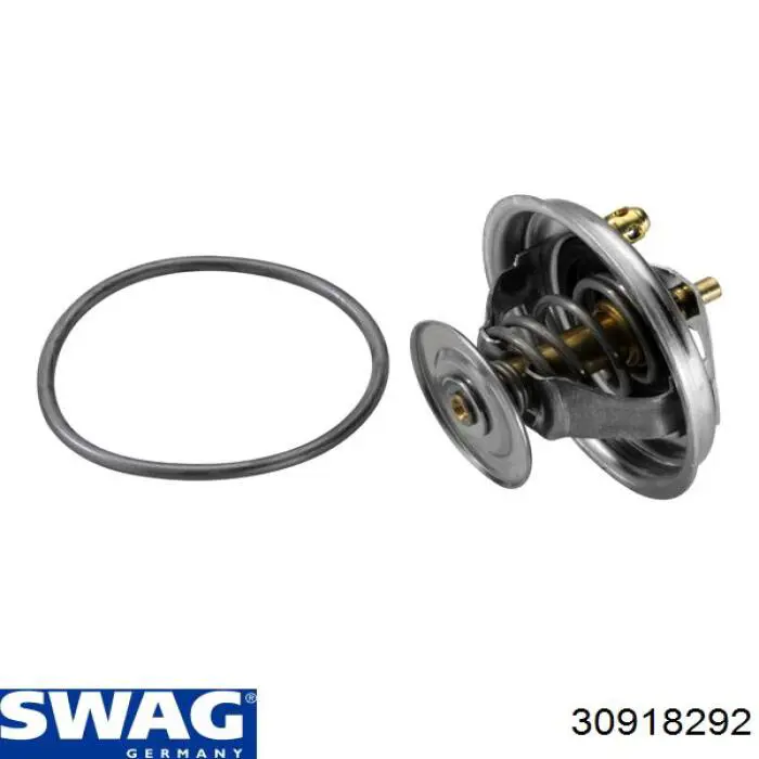 Jeep Grand Cherokee 1 Z