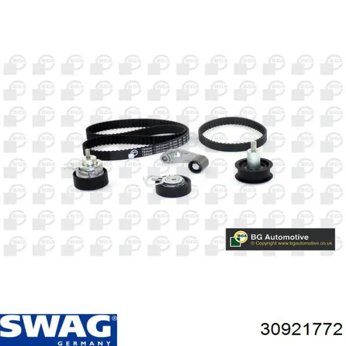 30 92 1772 Swag kit correa de distribución