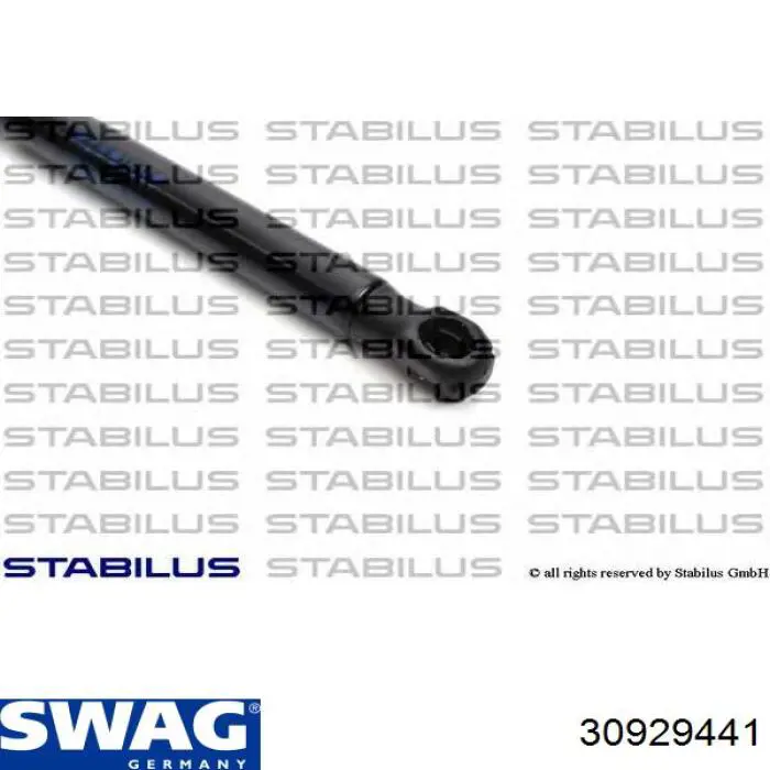 Muelle neumático, capó de motor Jaguar X-type CF1