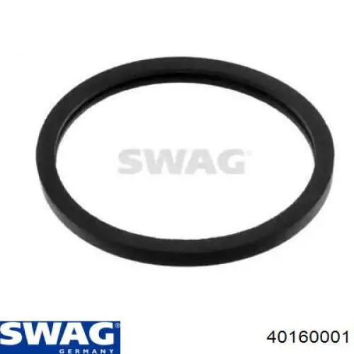 Comprar 40160001 Swag Junta de termostato