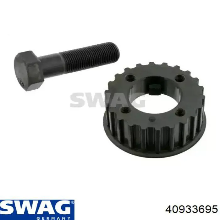 Comprar 40933695 Swag Piñón del cigüeñal