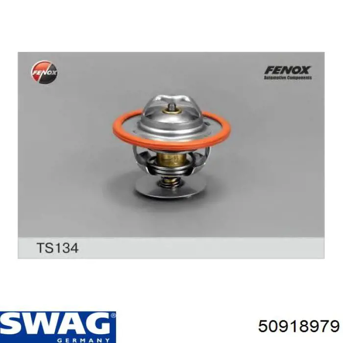 Termostato 50918979 Swag