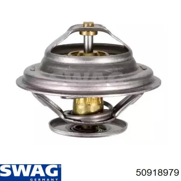 Comprar 50918979 Swag Termostato